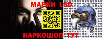 apvp Кимры