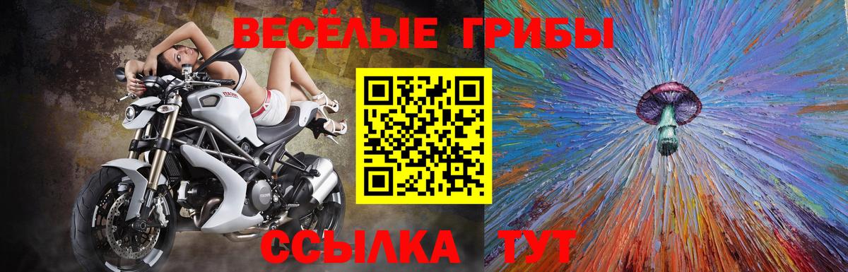 Галлюциногенные грибы Psilocybe Кропоткин