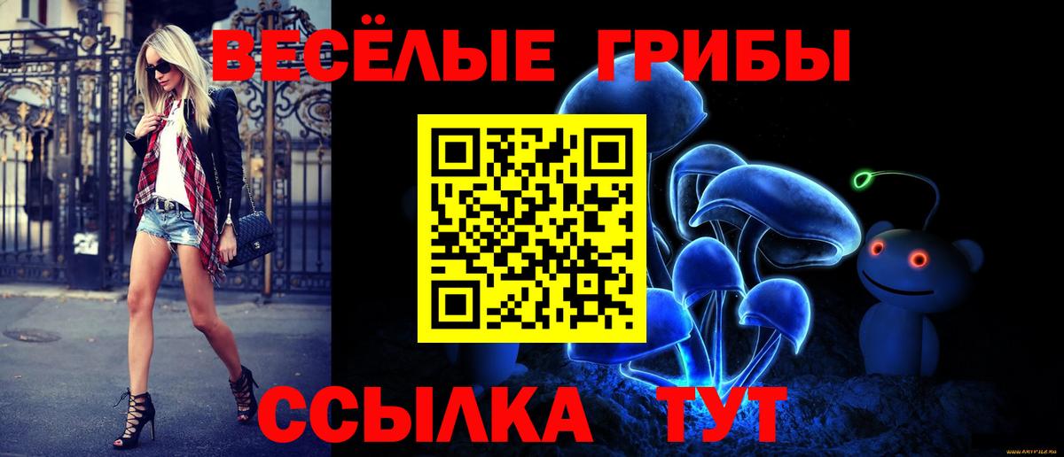 Галлюциногенные грибы прущие грибы  Псилоцибиновые грибы GOLDEN TEACHER  Вход с VPN  купить наркотики цена  Кропоткин 